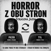 CaroStrach — pokrowce na zagłówki samochodowe z motywem Halloween — 3